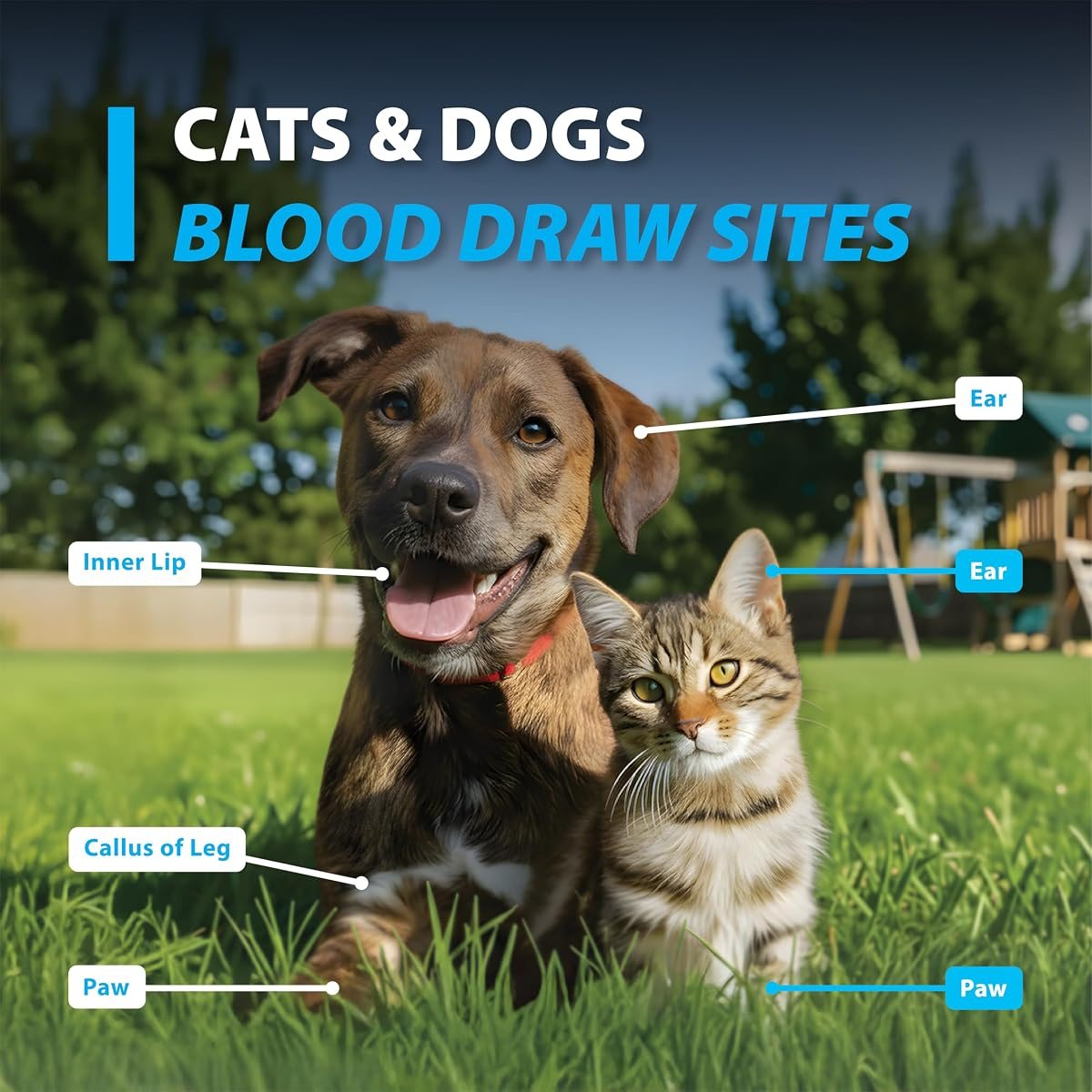 EasyTouch Pet Glucose Monitoring System Starter Kit, view 5